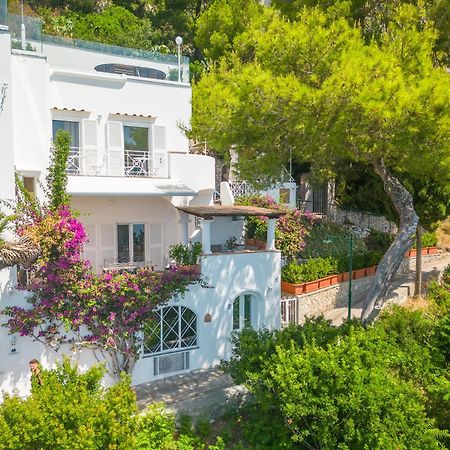 Faraglionensis Monaconehouse Villa Capri Exterior foto